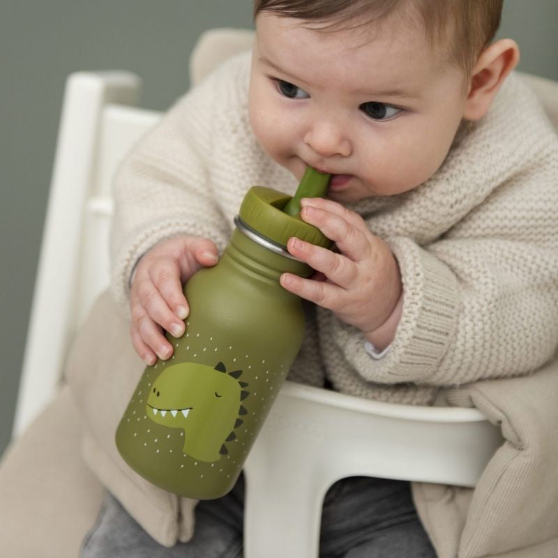 Trixie Baby® Otroška steklenička 350ml Mr. Dino Trixie Baby