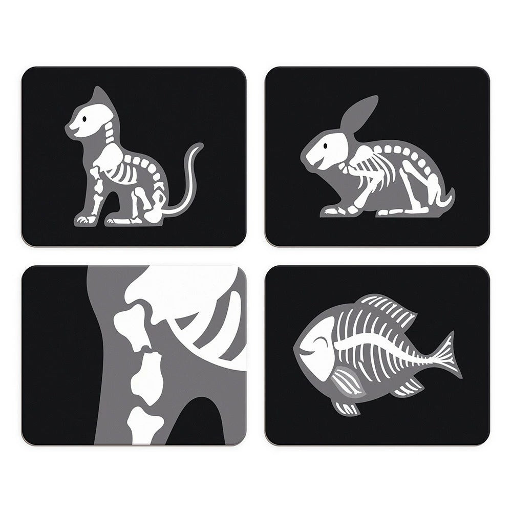 Janod® Lesen set za veterinarja Janod