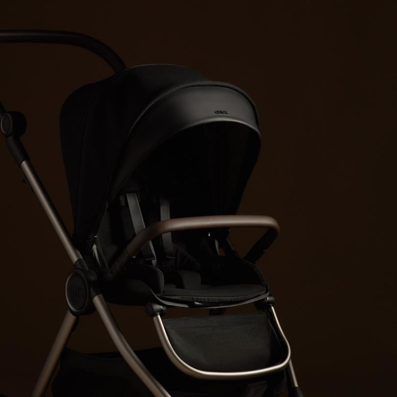 Anex® Otroški voziček 6v1 IQ (0-22kg) Richi Anex