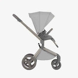 Anex® Baby stroller 2in1 Flo Frossy