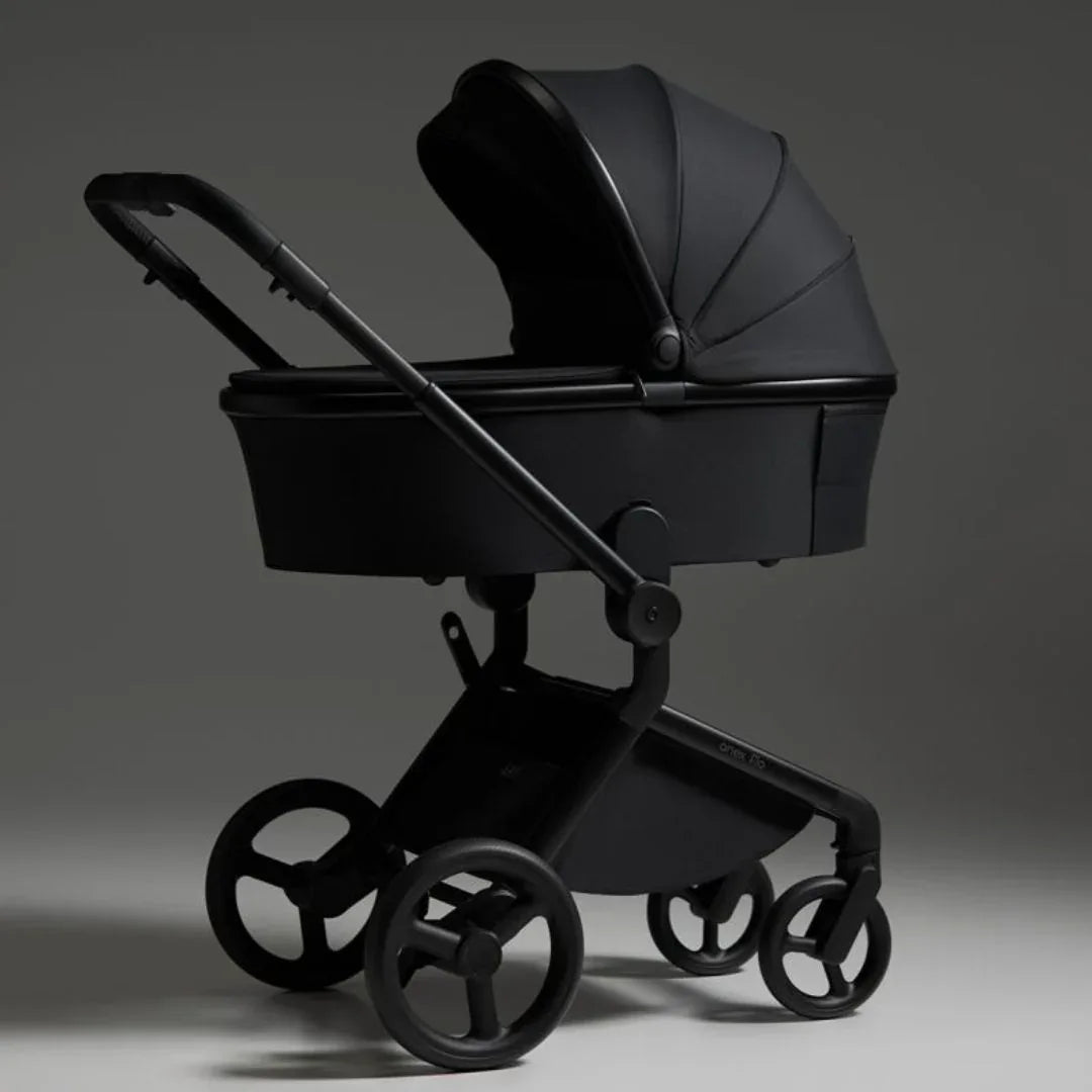 Anex® Otroški voziček 2v1 Flo Lungo Anex