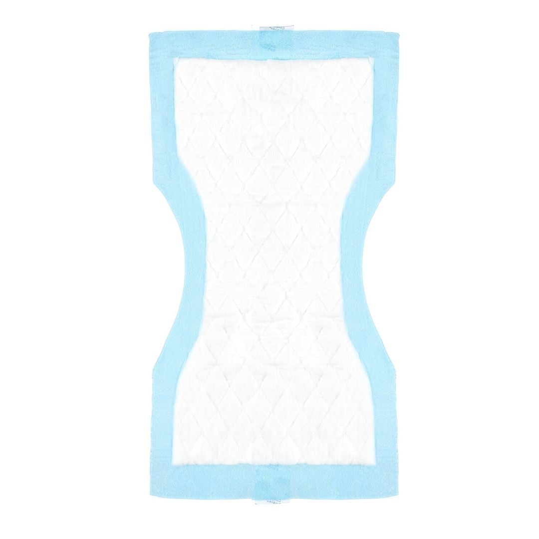 Canpol babies® Postpartum Hygienic Pads 10 pcs