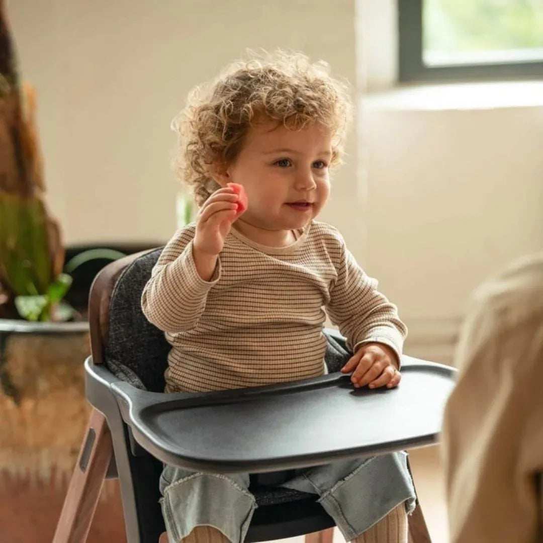 Nuna® Otroški stolček za hranjenje Bryn™ Graphite Nuna