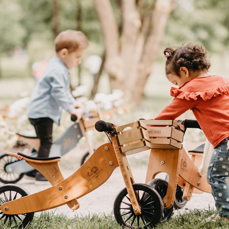 Slika za Kinderfeets®  2u1 Tricikl i bicikl bez pedala  Tiny Tot Plus Bamboo 
